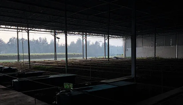 行业资讯发布展示的适用条件与选择依据
